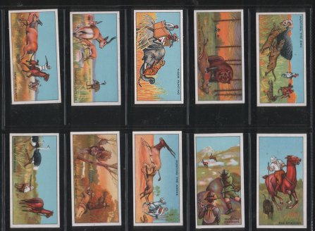 Big Game Hunting 1930. incredibly beautiful colourful set of 25 Cigarette cards, 
