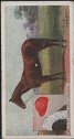  Images will open in a new window to return to cigartte cards catalogue close window 