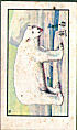 Full Images will open in a new window to return to cigartte cards catalogue close window 