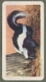 To return to cigarette cards catalogue close this window
