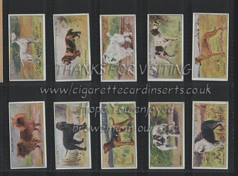Dogs 1923 beautiful colourful set of 25 cigarette cards, near mint
