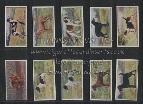 Dogs 1923 beautiful colourful set of 25 cigarette cards, near mint