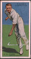 The cigarette cards in the set are: 1 E. L. a'Beckett (Victoria) , 2 L. E. G. Ames (Kent) , 3 E. H. Bowley (Sussex) , 4 D. G. Bradman (New South Wales) , 5 G. Brown (Hampshire) , 6 A. W. Carr (Notts) , 7 A. P. F. Chapman (Kent) , 8 E. C. Clark (Northamptonshire) , 9 Dai Davies (Glamorgan) , 10 G. Duckworth (Lancashire) , 11 K. S. Duleepsinhji (Sussex) , 12 A. G. Fairfax (New Sout Wales) , 13 P. G. H. Fender (Surrey) , 14 A. P. Freeman (Kent) , 15 G. Geary (Leicestershire) , 16 A. H. H. Gilligan (Sussex) , 17 T. W. Goddard (Gloucestershire) , 18 C. V. Grimmett (South Australia) , 19 N. Haig (Middlesex) , 20 C. Hallows (Lancashire) , 21 W. R. Hammond (Gloucestershire) , 22 J. W. Hearns (Middlesex) , 23 E. Hendren (Middlesex) , 24 J. B. Hobbs (Surrey) , 25 P. M. Hornibrook (Queensland) , 26 A. Hurwood (Queensland) , 27 A. Jackson (New South Wales) , 28 V. W. C. Jupp (Northhamptonshire) , 29 A. F. Kippax (New South Wales) , 30 H. Larwood (Notts) , 31 M. Leyland (Yorkshire) , 32 S. Mccabe (New South Wales) , 33 T. B. Mitchell (Derbyshire) , 34 J. O'connor (Essex) , 35 W. A. Oldfield (New South Wales) , 36 W. H. Ponsford (Victoria) , 37 V. Y. Richardson (South Australia) , 38 C. F. Root (Worcestershire) , 39 Arthur Staples (Notts) , 40 H. Sutcliff (Yorkshire) , 41 M. W. Tate (Sussex) , 42 C. W. Walker (South Australia) , 43 T. W. Wall (South Australia) , 44 F. Watson (Lancashire) , 45 A. W. Wellard (Somerset) , 46 J. C. White (Somerset) , 47 W. W. Whysall (Notts) , 48 W. M. Woodfull (Victoria) , 49 F. E. Wolley (Kent) , 50 R. E. S. Wyatt (Warwickshire) ,, 