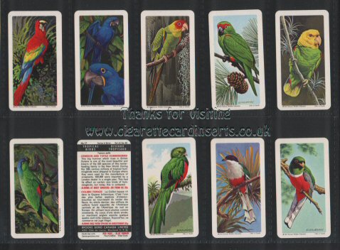 Brooke Bond Tropical Birds Canadian issue of 1964, mint condition